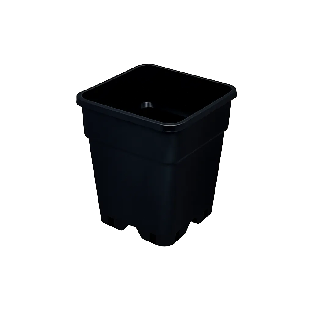 6905f4d0b9a3a94adb605f6f/assets/imgs/ChatGPT Image May 1, 2026, 08_00_32 PM.webp